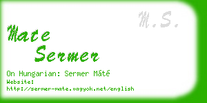mate sermer business card