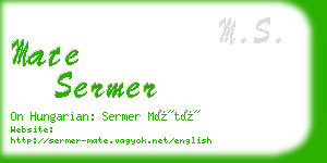 mate sermer business card